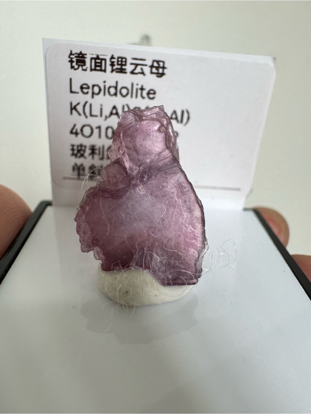 Lepidolite mineral specimen